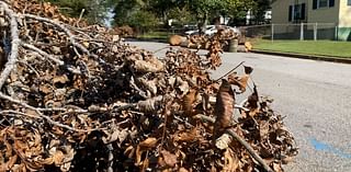 More than 80,000 cubic yards of storm debris collected in Spartanburg Co.