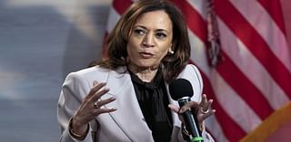 Harris says ‘very few’ companies are price gouging, despite her pledge to eradicate it