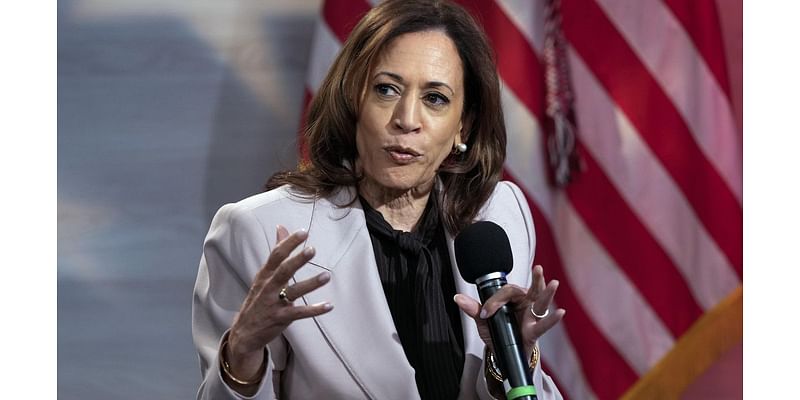 Harris says ‘very few’ companies are price gouging, despite her pledge to eradicate it