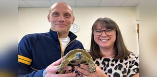 Tortoise 'lucky' after recycling centre rescue