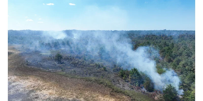 Drought and wildfires threaten NY and NJ amid a historic dearth of rainfall