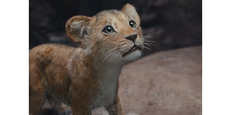 Get a sneak peek of Blue Ivy's performance in Mufasa alongside mom Beyoncé