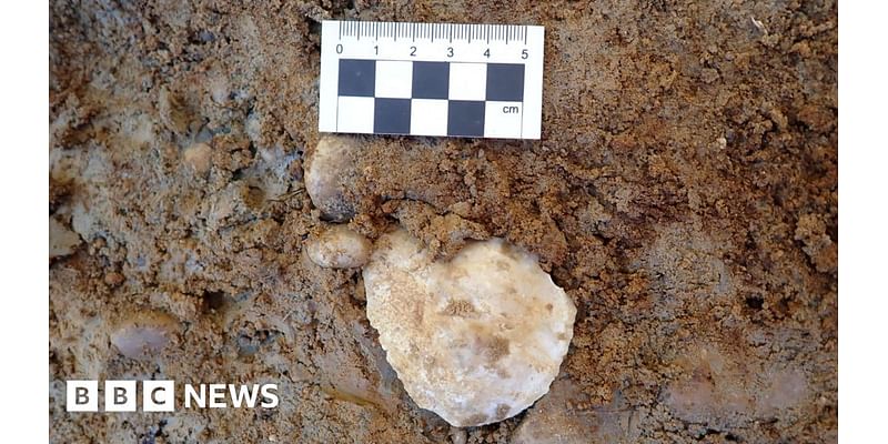 Oxford A34: Prehistoric tools unearthed near major Abingdon road