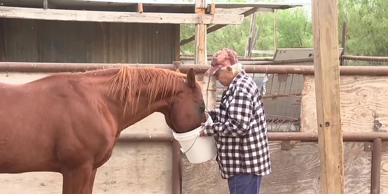 Boil water notice impacts ranchers in Laredo