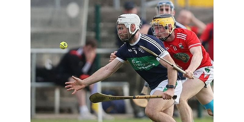 Bray Emmets clinch a sixth straight Wicklow SHC crown