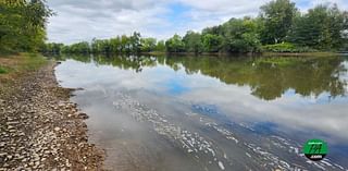 Sewage line rupture spills into Susquehanna watershed