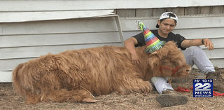 Whip City Animal Sanctuary neighbor donates land