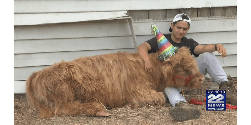 Whip City Animal Sanctuary neighbor donates land