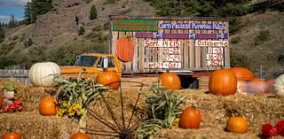 Journey into Fall at the Applestem Corn Maze & Pumpkin Patch