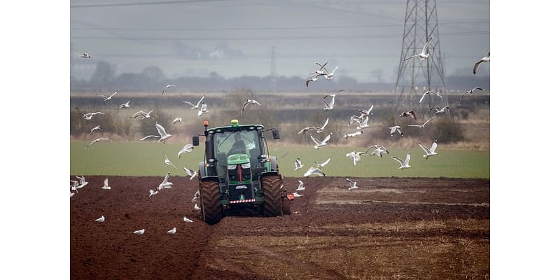 Impact of changes to farming inheritance tax: key questions answered