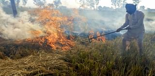 Centre Doubles Fines On Stubble Burning Amid Delhi's Air Quality Crisis