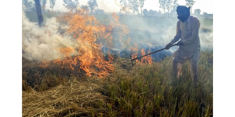 Centre Doubles Fines On Stubble Burning Amid Delhi's Air Quality Crisis