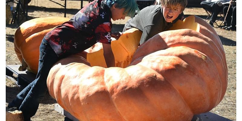 10 weekend things to do around Colorado Springs and beyond: giant pumpkins, Black history, firefighter calendar