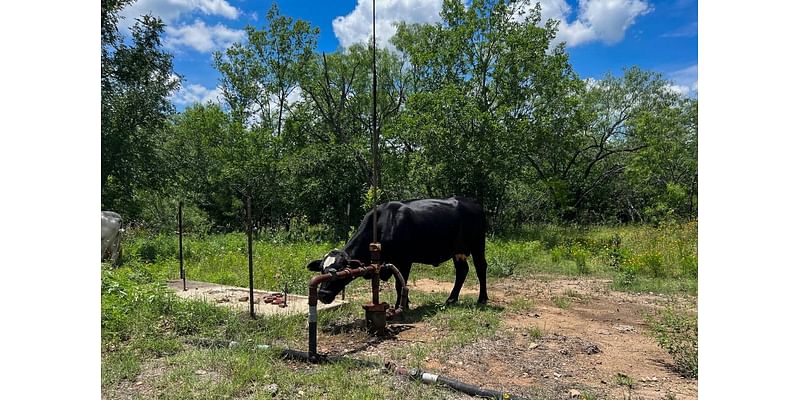 Study finds levels of a dangerous gas “off the scales” in Central Texas oilfield