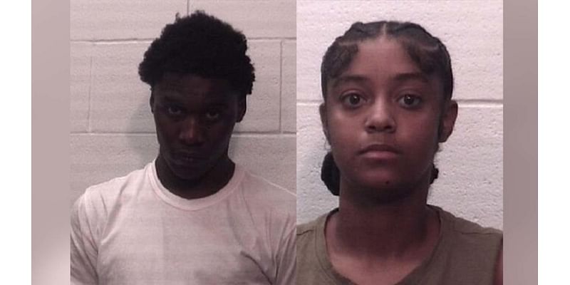 Two Chicago teens arrested in Deer Park for alleged iPhone delivery thefts