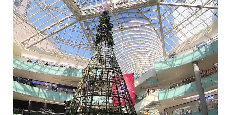 Dallas prepares for holiday season with tallest indoor tree in America