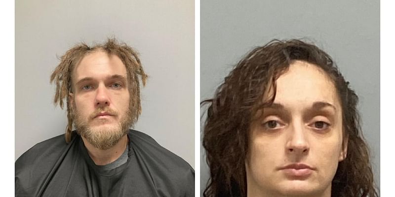 Two arrested in Henry County drug bust