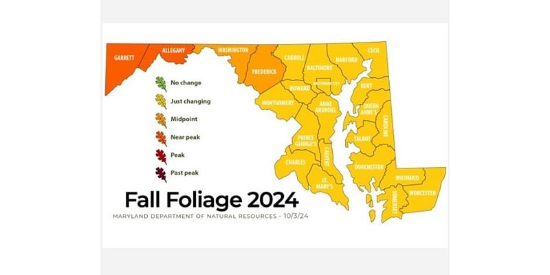 Fall Foliage Report: Western Maryland’s fall foliage reaches ‘rolling peak’