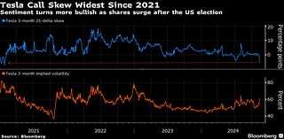 Tesla Devotees Go All In Driving $300 Billion Rally on Trump Win