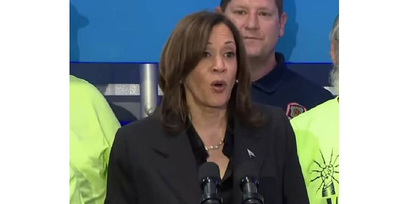 Kamala Harris Teases Major Executive Action If Elected