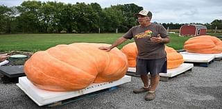 Inside the wild world of competitive giant pumpkin growing