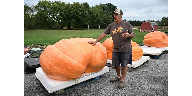 Inside the wild world of competitive giant pumpkin growing