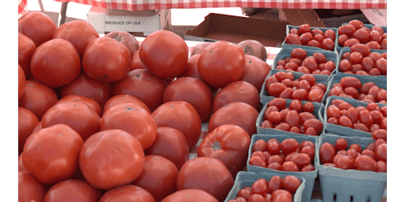 Lowcountry farmers begin pop-up farm stands in Dorchester County